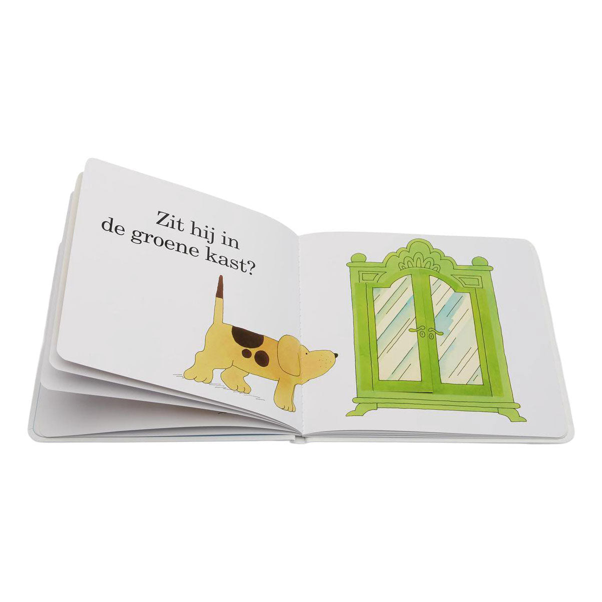 Casa central del libro ¿dónde está el regate?