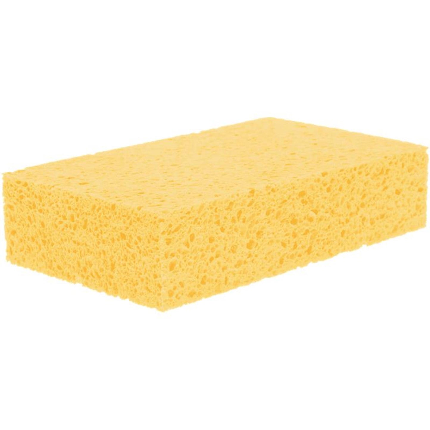 Esponja sorbo viscosa 16,5x10x4cm grande