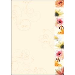 Carta fantasia Sigel DP788 gamma colori