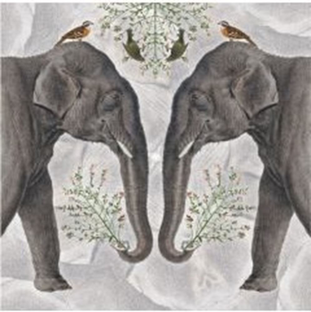 Tarjeta+sobre elefante indio. 16x16cm