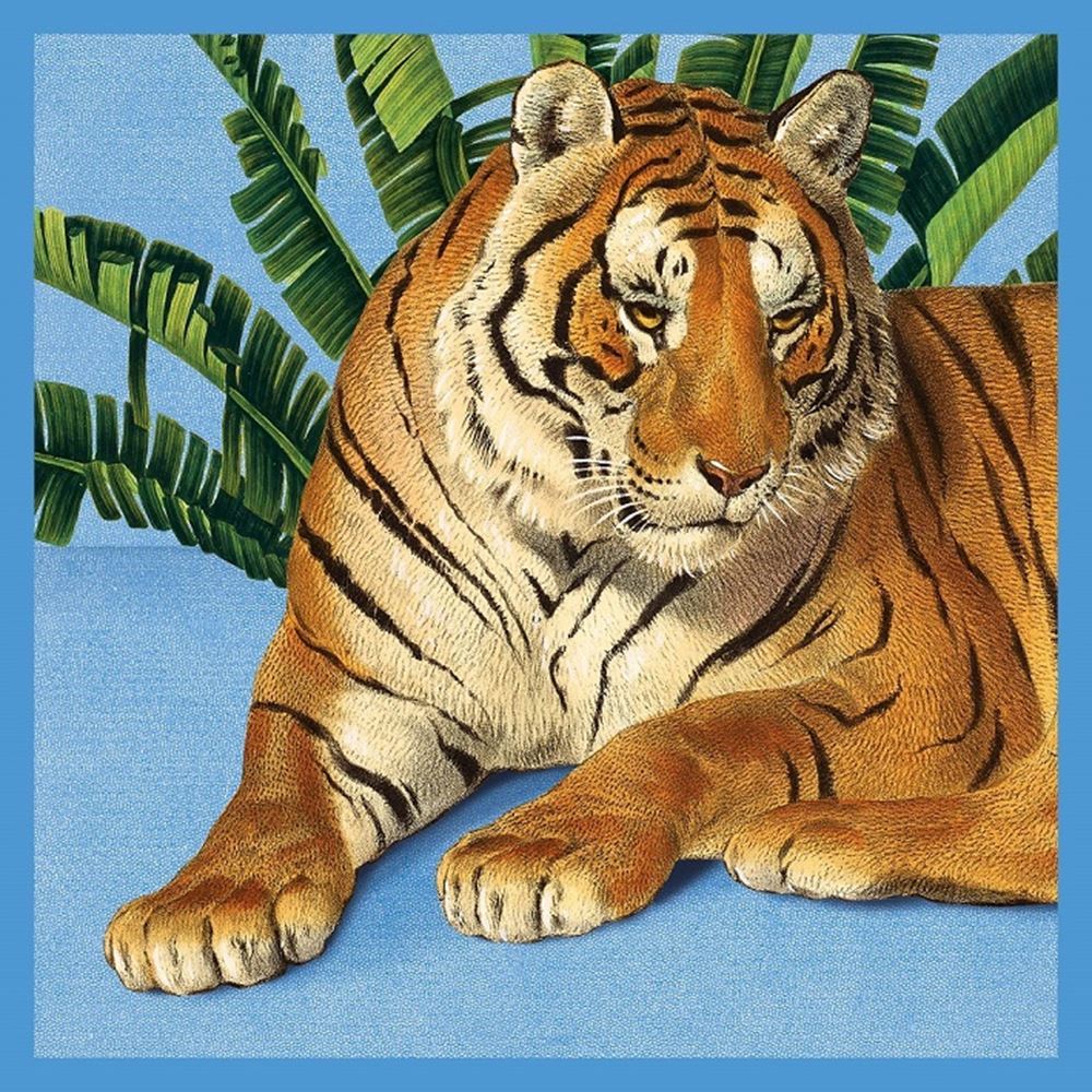 Tarjeta+sobre tigre. 16x16cm