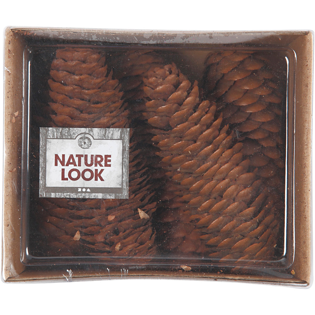 Pigne cono Creative Company, d 40 mm, ca. 5 pezzi, 100 g 1 scatola