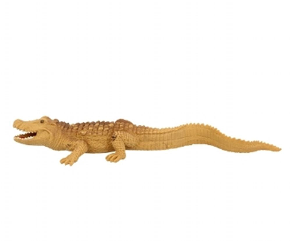 Caimano elasticizzato, 24 cm. 3+