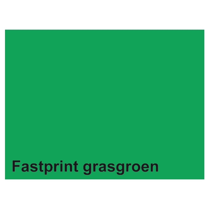 Quantore carta fotocopia fastprint a4 160gr verde erba 50 fogli