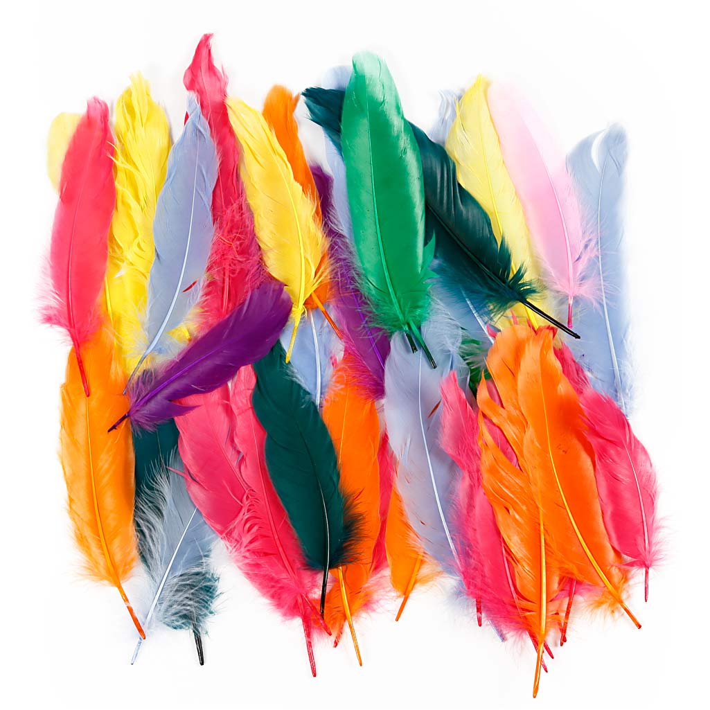 Piume Creative Company, l: 12-15 cm, vari colori, 350 pezzi 1 scatola