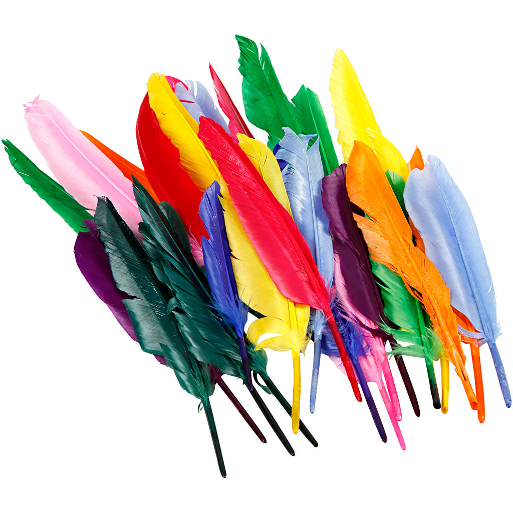 Piume Creative Company, l: 17-20 cm, 250 pezzi 1 scatola