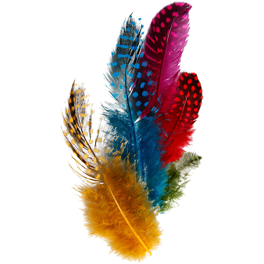 Piume di faraona Creative Company, ca. 100 pezzi, vari colori, 3 g 1 scatola