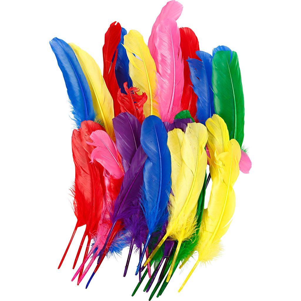 Piume Creative Company, l: 20 cm, vari colori, 36 pezzi 1 scatola