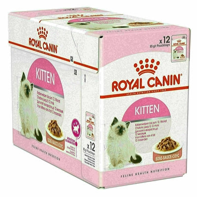 Gattino bagnato per canino reale