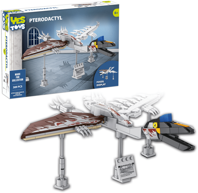 Oku yestoys fossile di pterodattilo 389 parti