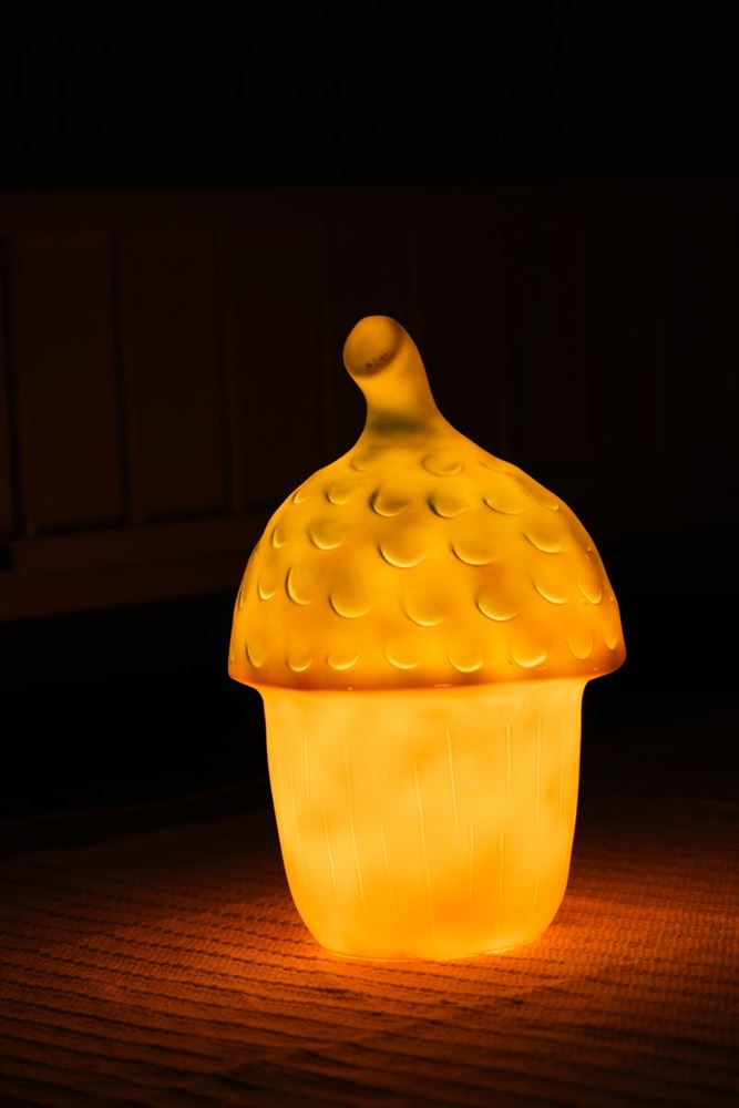 Egmont lamp eikel terra+dimmer. 20 x 30