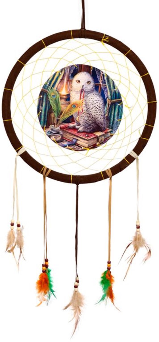 Lisa Parker Wachter de Proverbs Owl Dreamcatcher 33cm