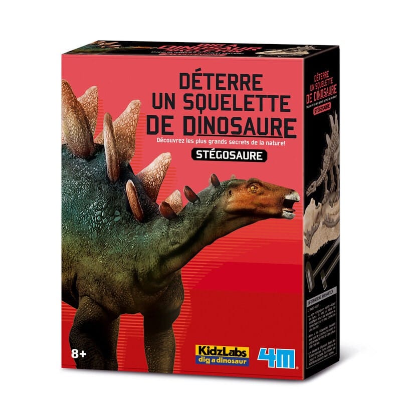 4m cava tu propio dinosaurio en Stegosaurus Kidzlabs