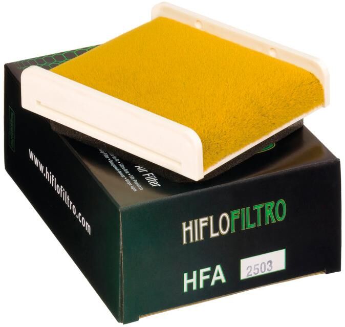 Filtro dell'aria Hiflofiltro HFA-2503