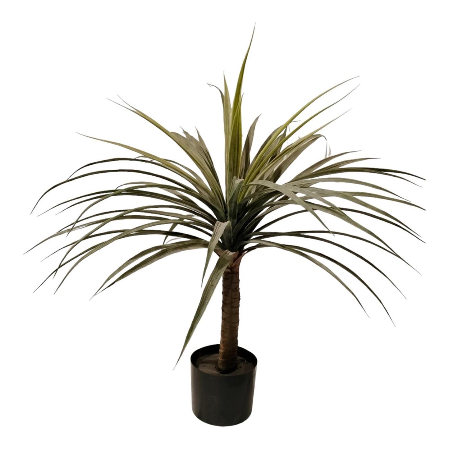 Pianta artificiale dracaena atmosfera da palazzo 80 cm