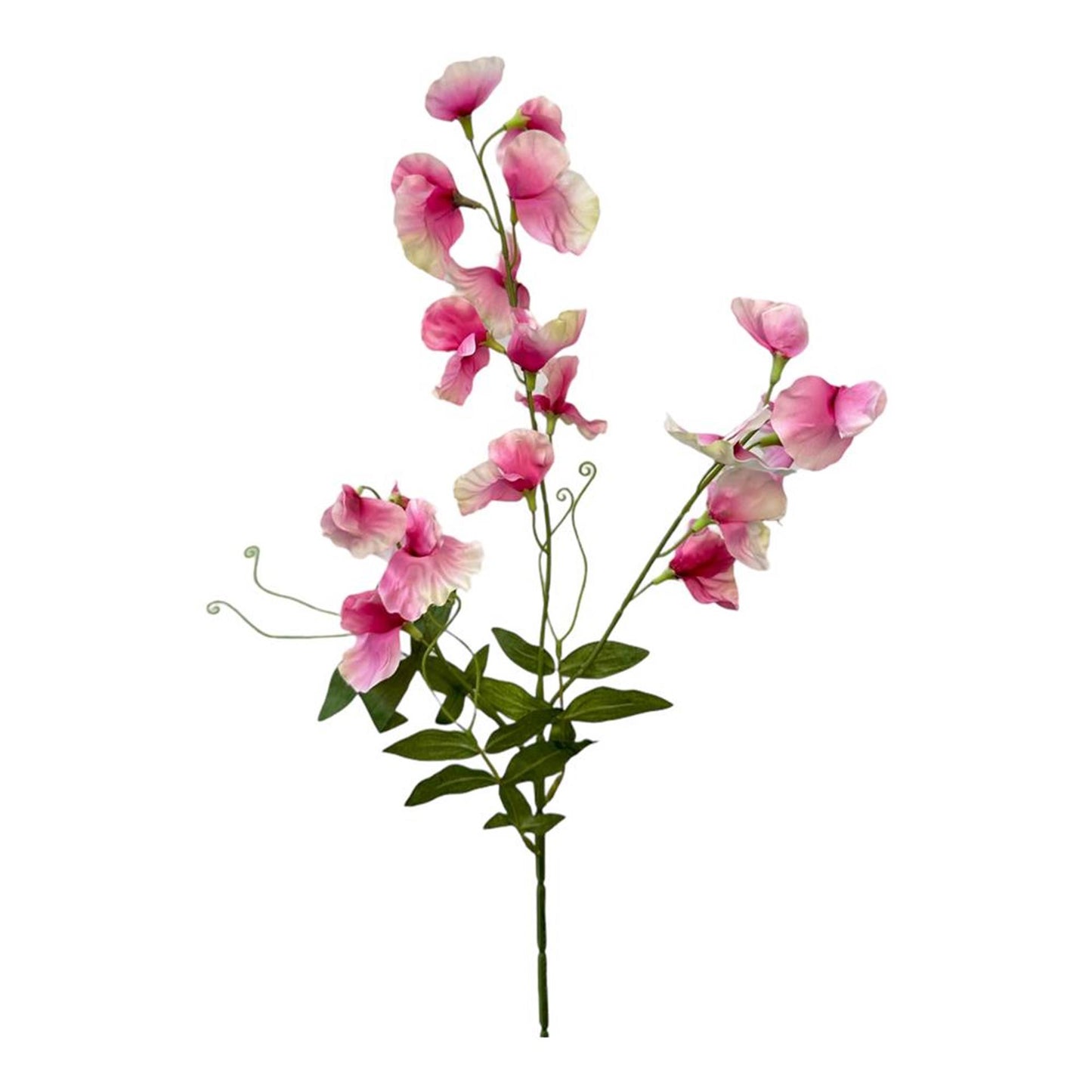 Collezione Roberts fiore artificiale pisello odoroso spray 75 cm rosa