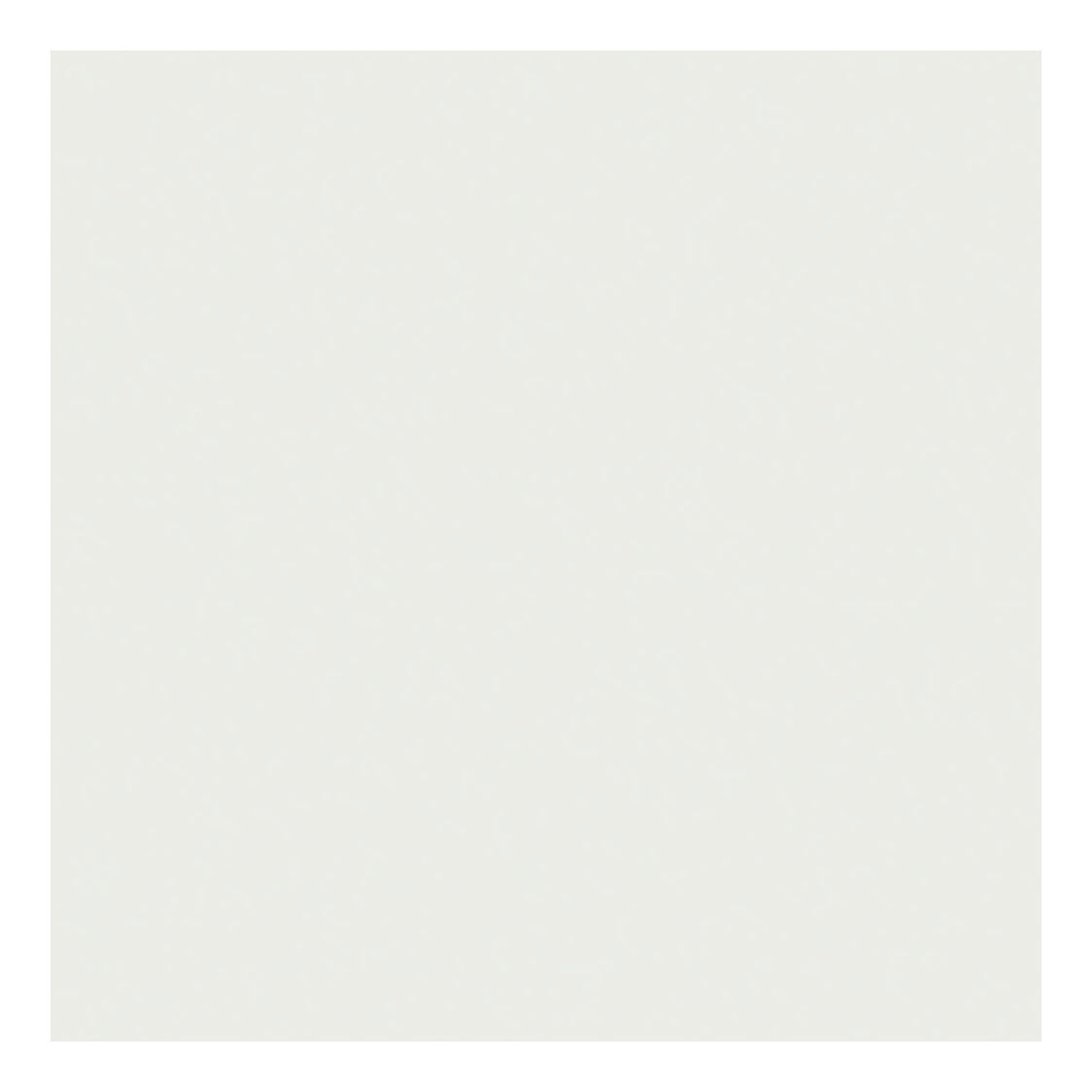 Creativ Company TissuePapier White 10 Hojas 14 Gr, 50x70cm