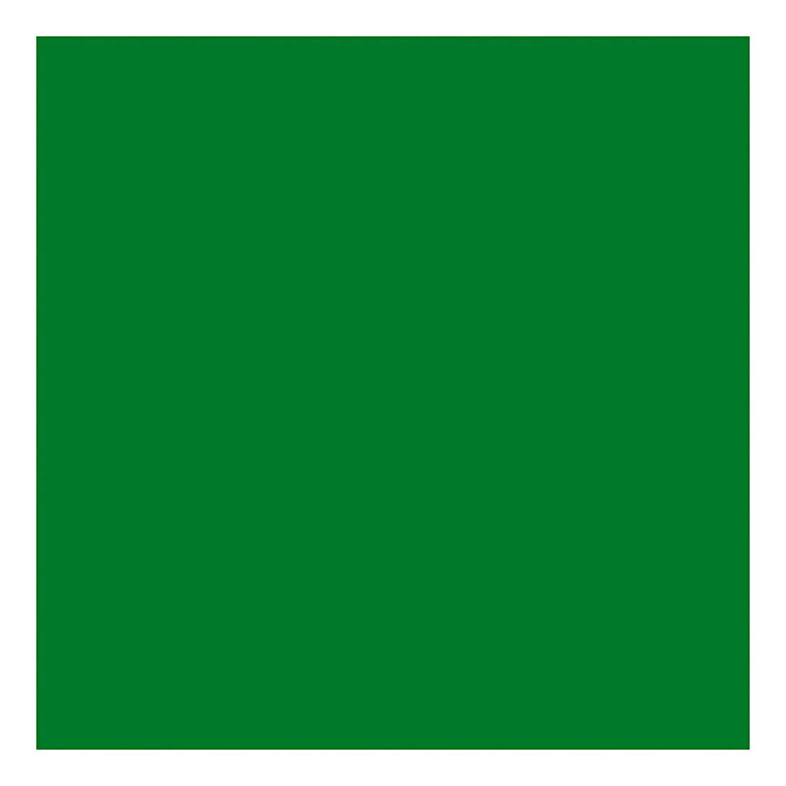 Creativ Company Textil Color que cubre pintura textil verde brillante, 50 ml