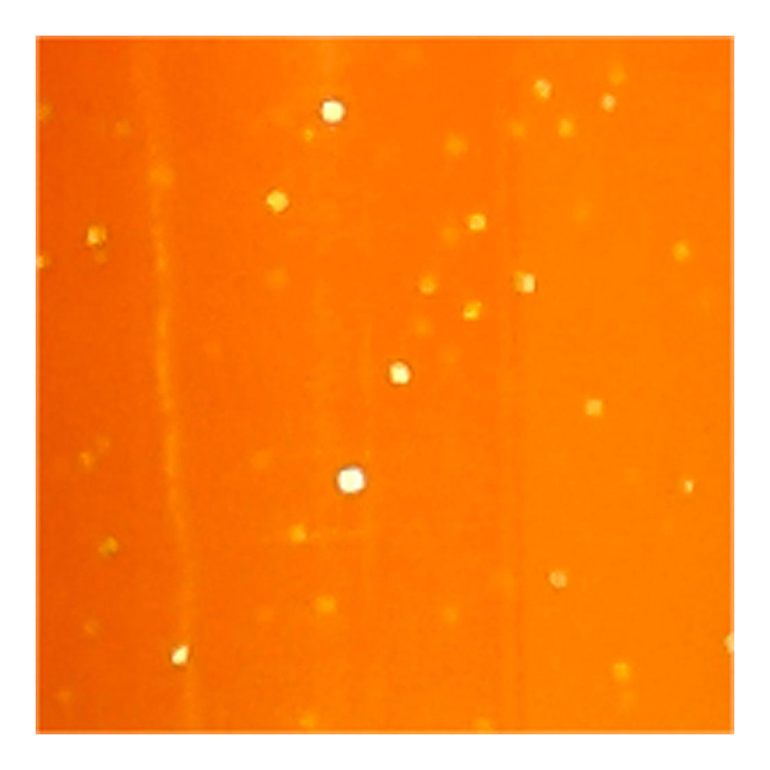 Creative Company Glasen porcellana Avvia arancione semi-coperto di scintillio