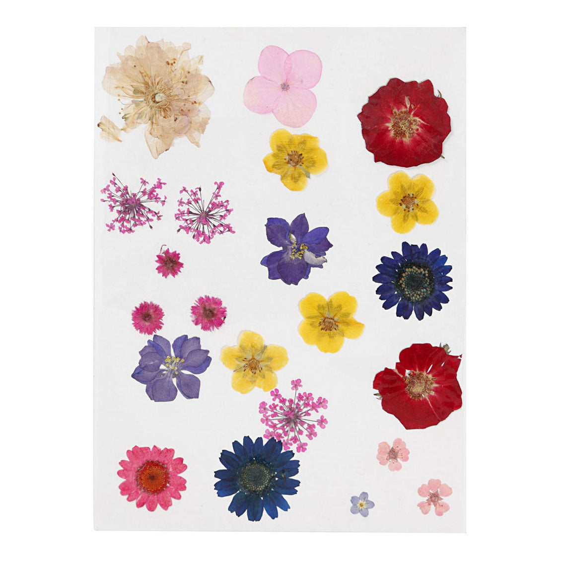 Creative Company Fiori e foglie i colori