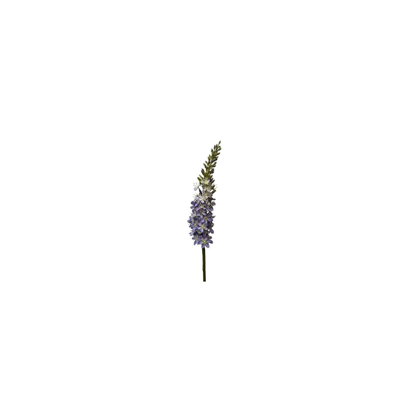 Collezione Roberts fiore artificiale eremures spray 82 cm blu