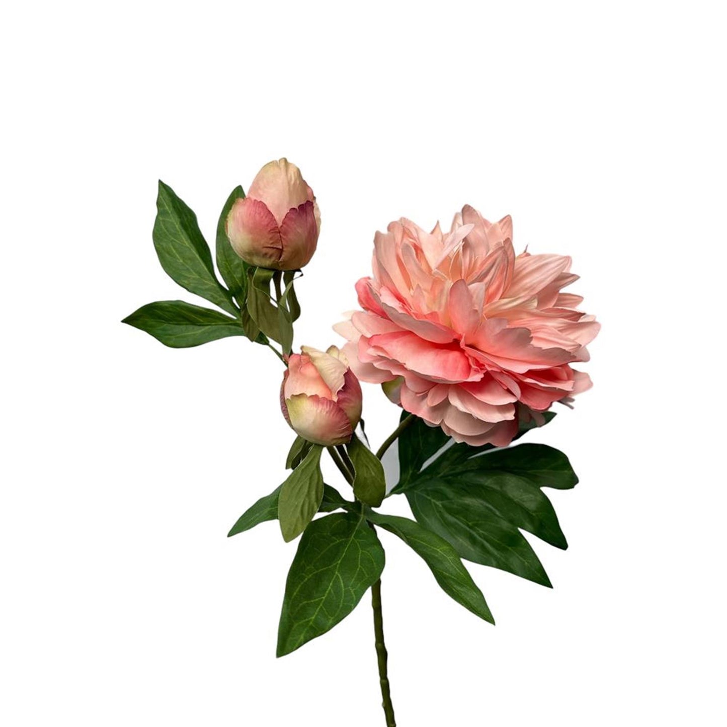 Roberts collection flor artificial peonía spray 64cm melocotón