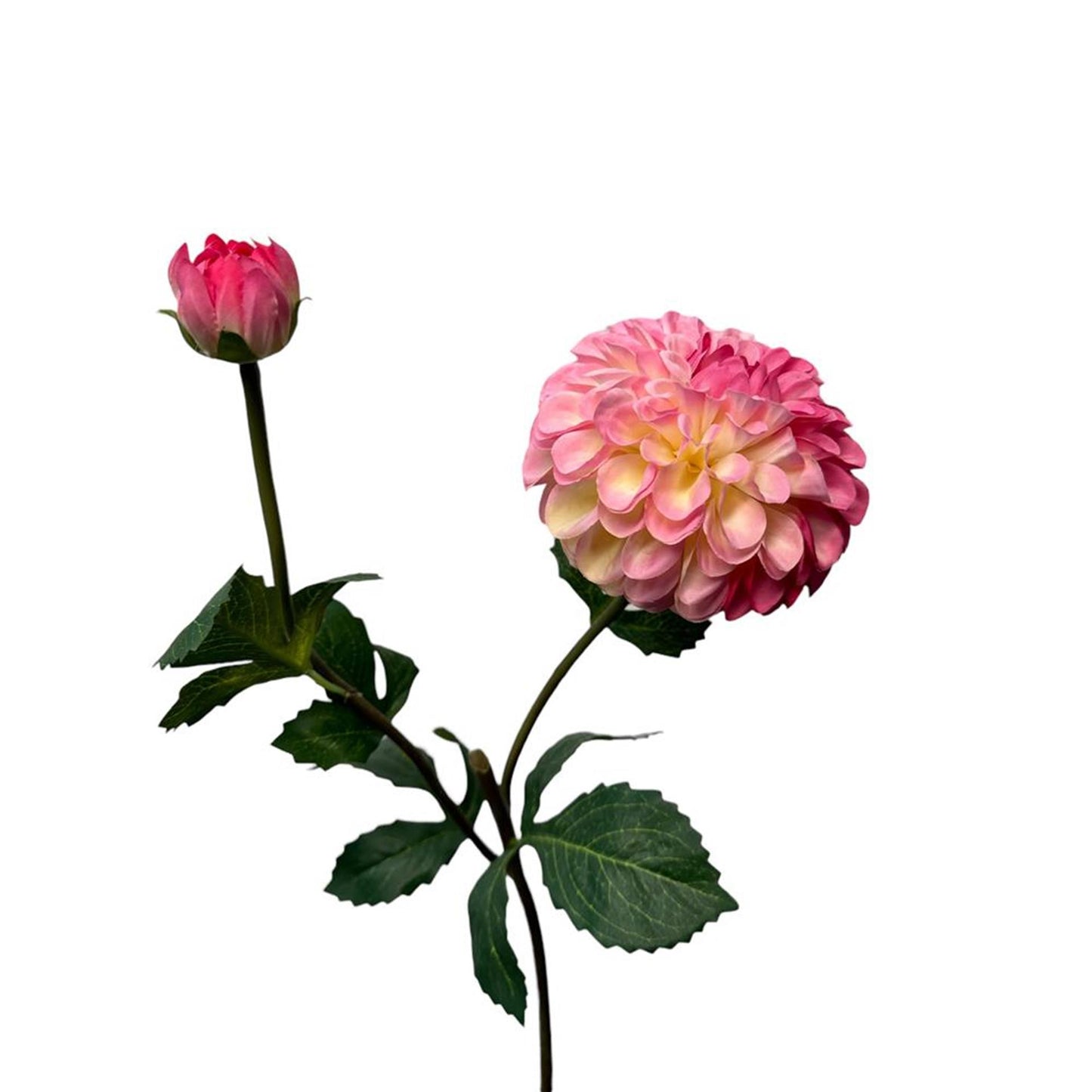 Collezione Roberts fiore artificiale dalia spray 74 cm dk rosa