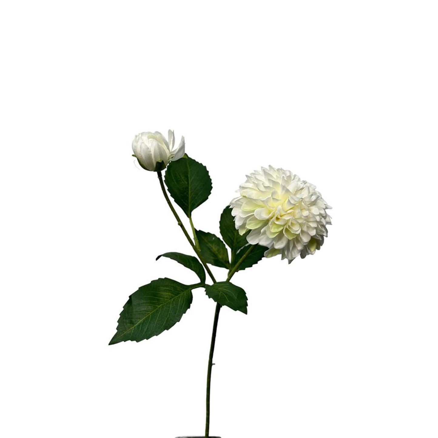 Collezione Roberts fiore artificiale dalia 56 cm bianco