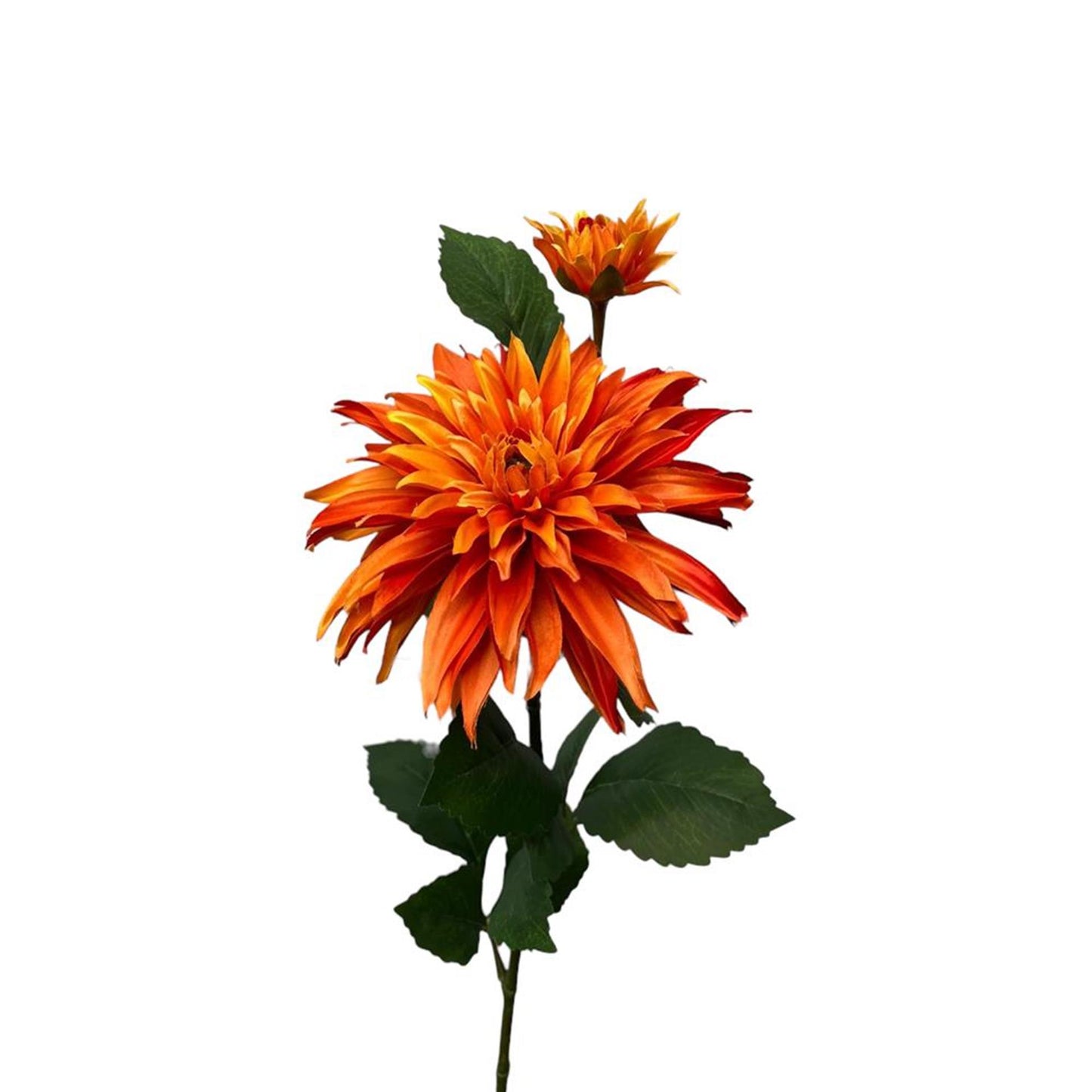 Collezione Roberts fiore artificiale dalia + bocciolo 74 cm arancione