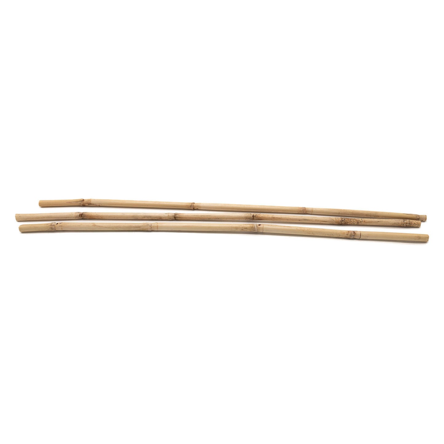 Colorazioni Bamboo si attacca 50 cm, 3 °.