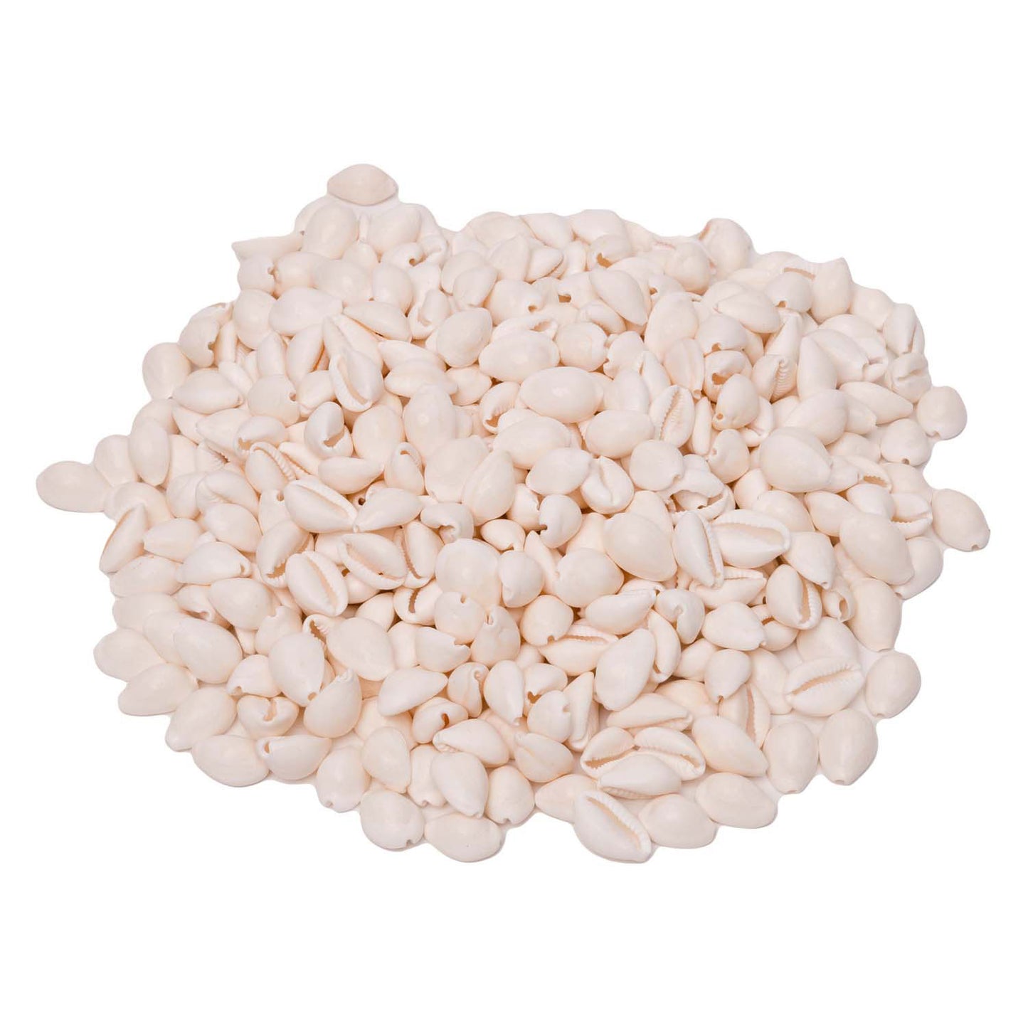 Colorations - Seas Shells Kauri, 300G