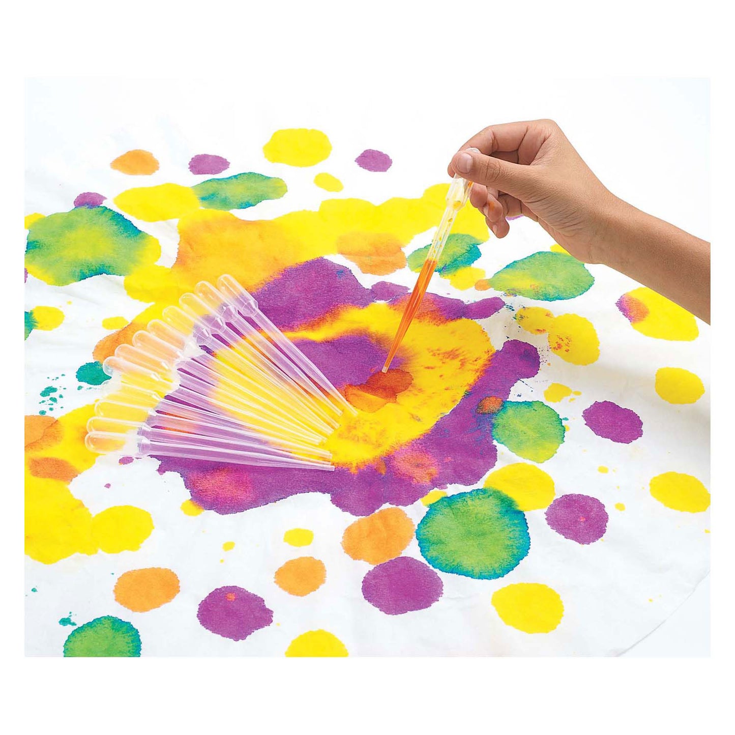 Coloraciones - Druppelaars 15cm, 12º.