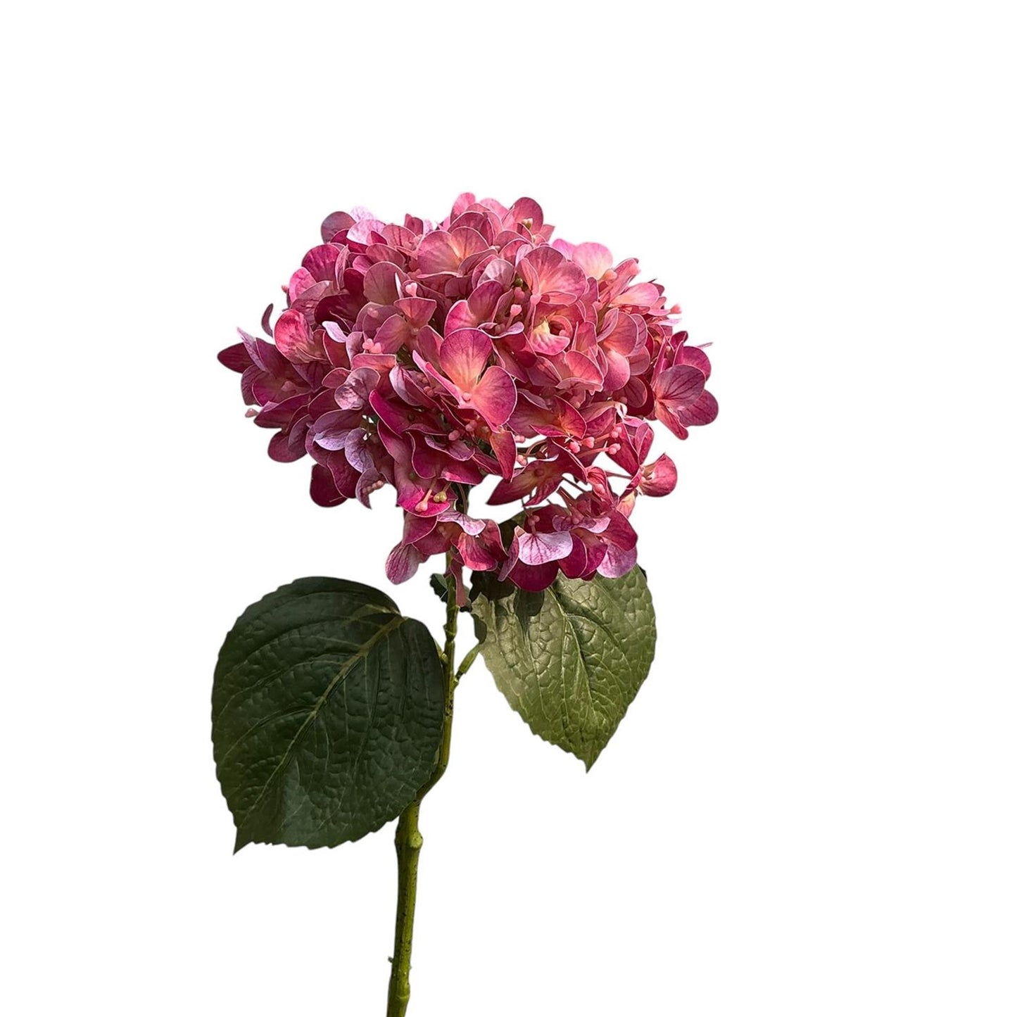 Collezione Roberts ortensia real touch 75 cm malva