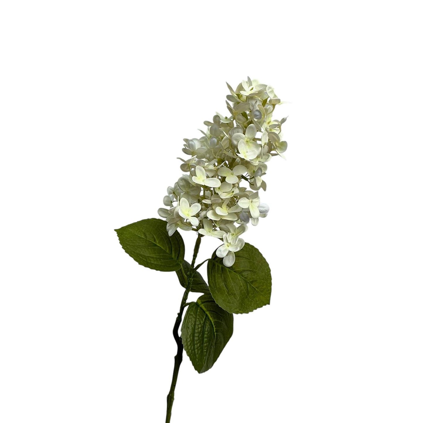 Cono di ortensia della collezione Roberts real touch 75 cm crema