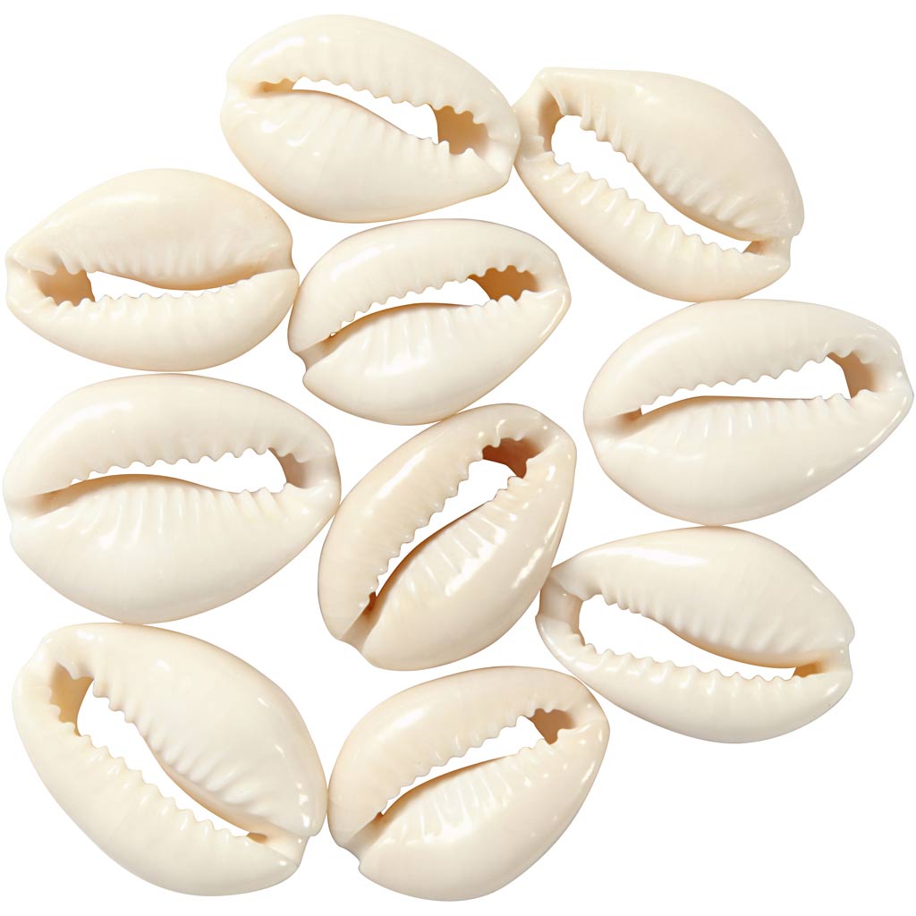 Creativ Company Shells White, 12st.
