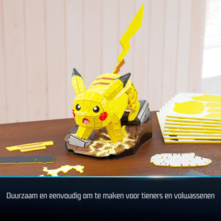 4d build Pokemon Pikachu