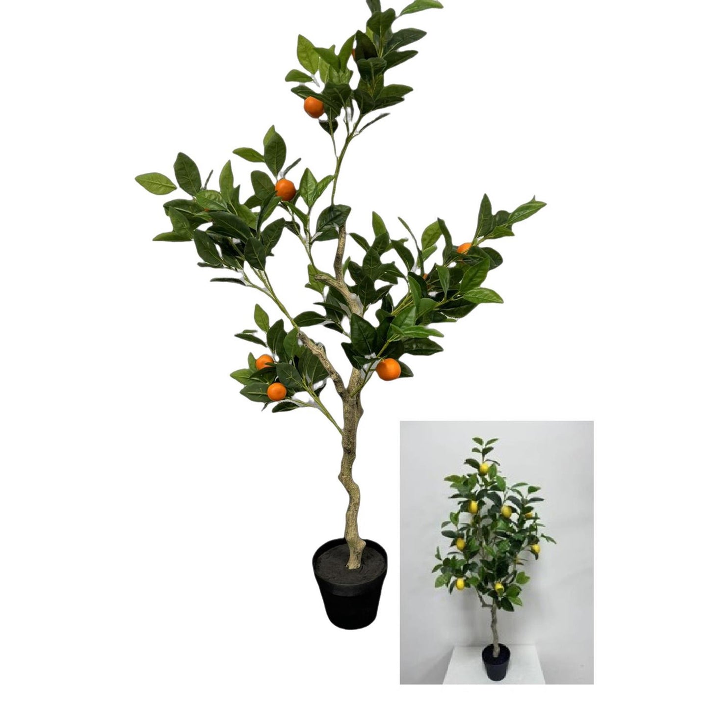 Deco limonero-naranja h120cm