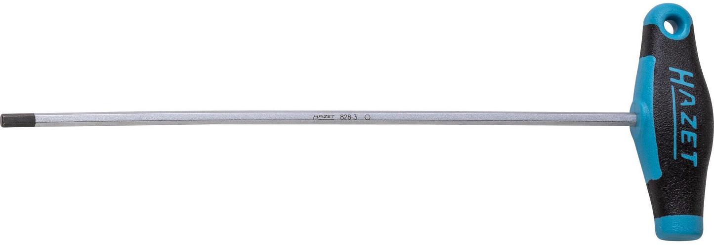 HAZET 6-CTNER SCLEWDR.3 mm 828-3