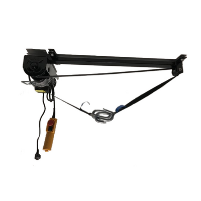 Polipasto eléctrico 220V 250kg