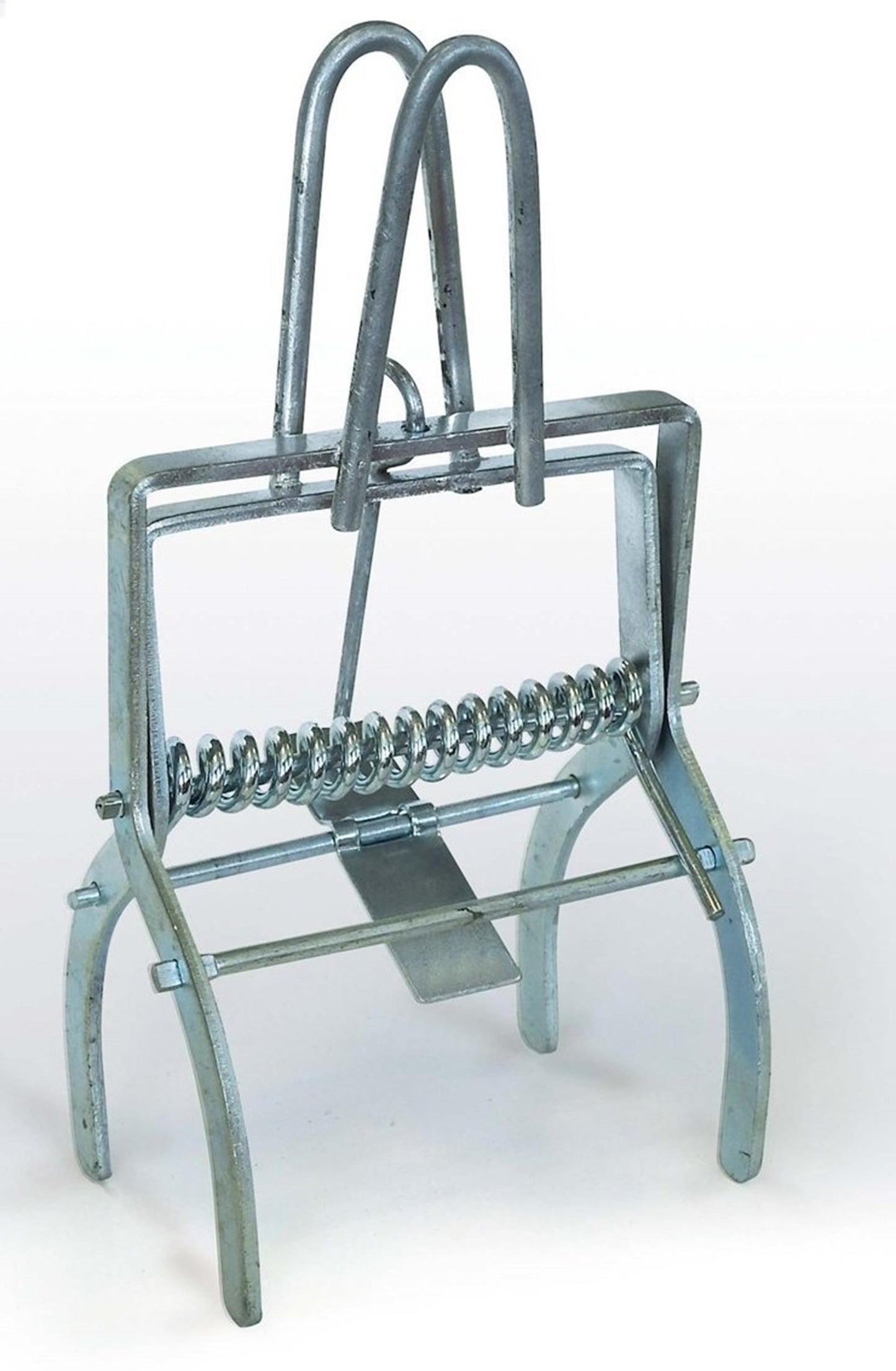 Bsi pratico morsetto per talpe