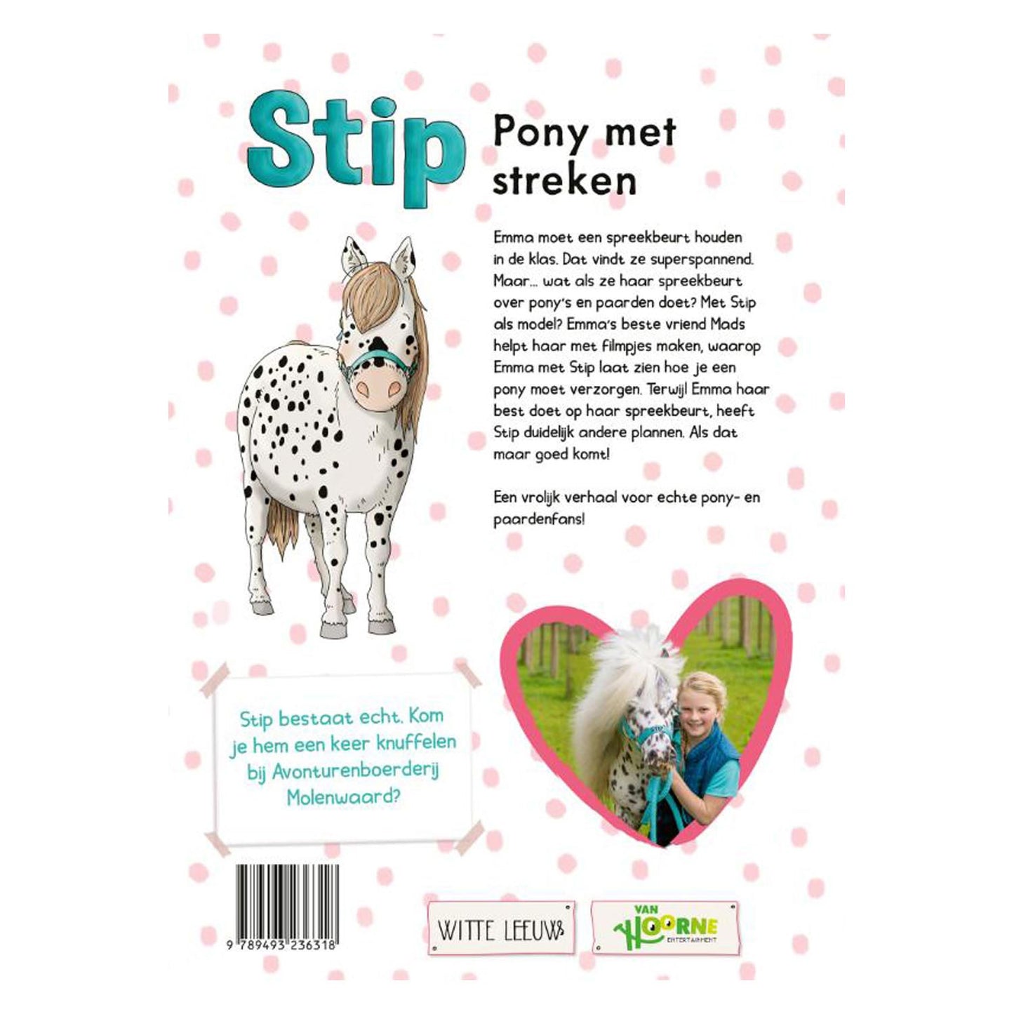 Stip - Pony con le regioni