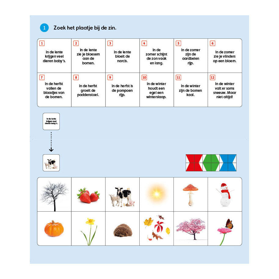 Editori WPG loco mini natura
