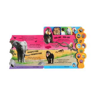 Rebo Publishers Sound Book in the Zoo