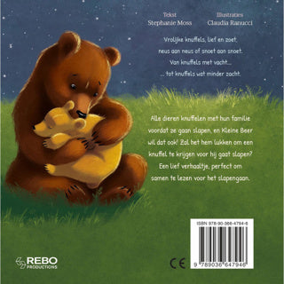 Libro de peluches grandes para osito | 2 piezas