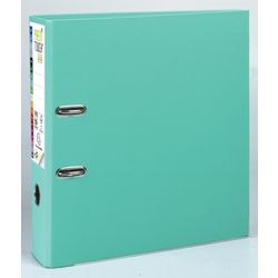 Brochure exacompta 53303e a4 verde pastello