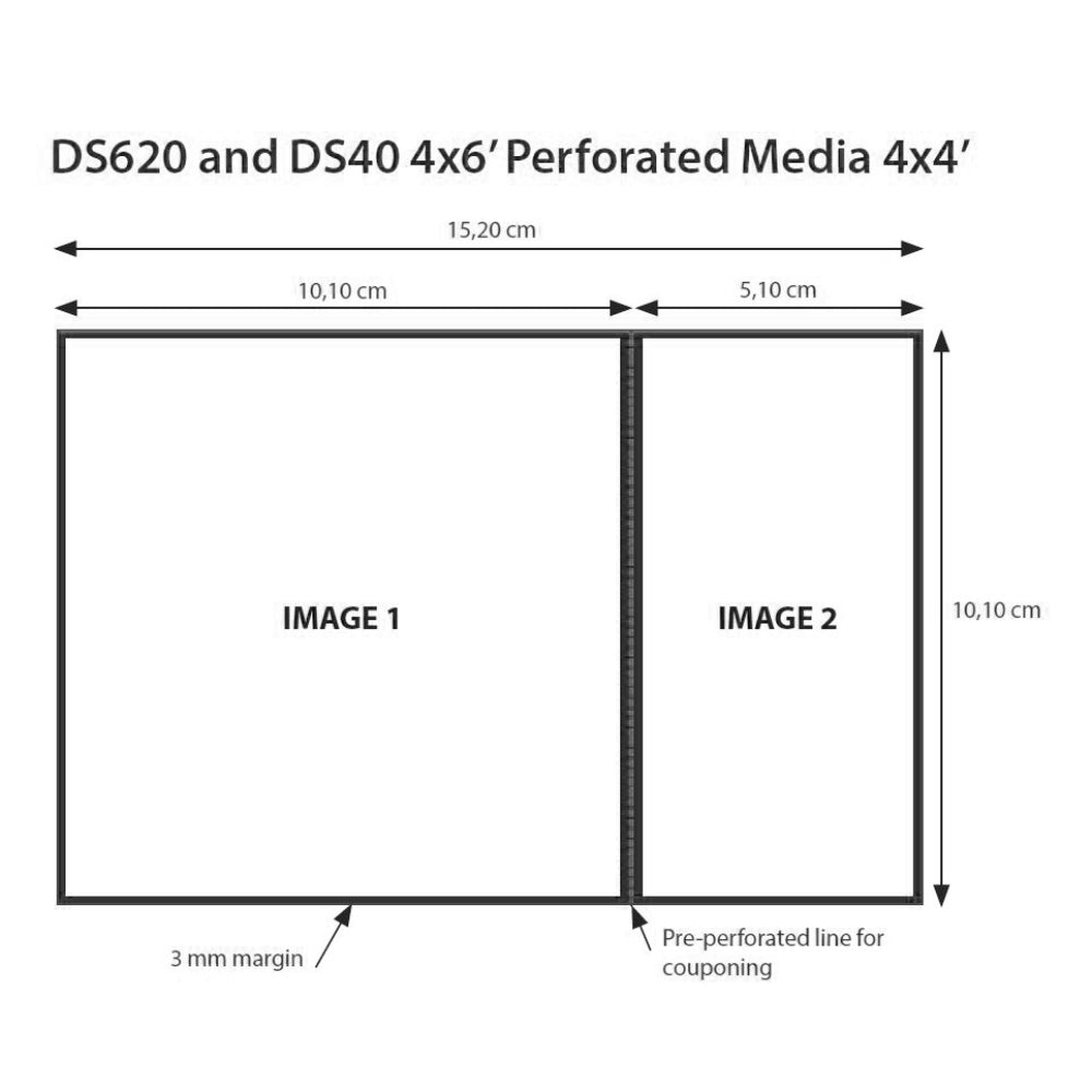 DNP Paper 2 Roll � 400 St. 10x15 Perforato a 10x10 cm per DS620