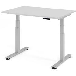 Escritorio de pie Bach hammerer gris 120x80x127cm
