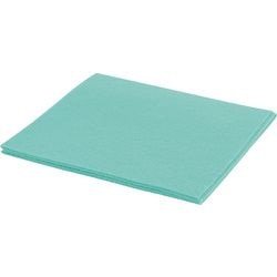 Trapo hogar betra verde 10 piezas