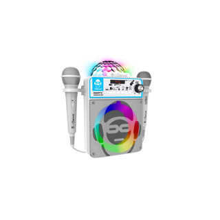 Macchina karaoke di Idance Partybox con 2 microfoni