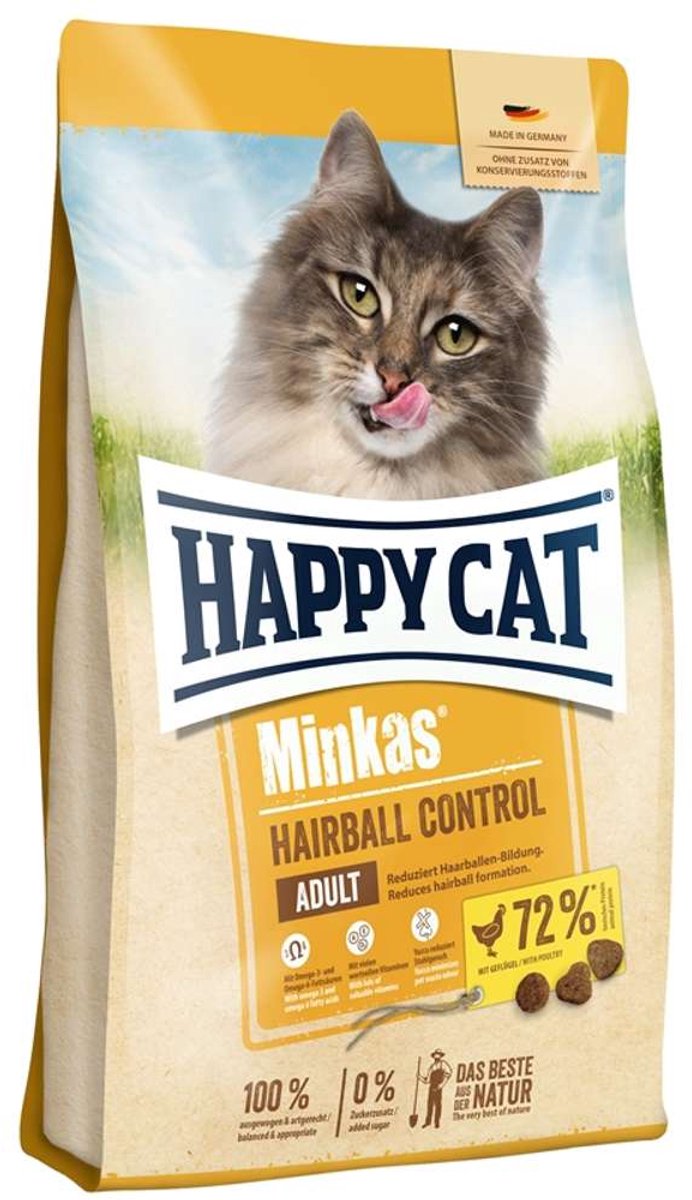 Gatto felice